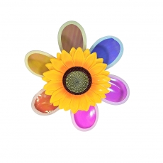 바람개비미니오로라